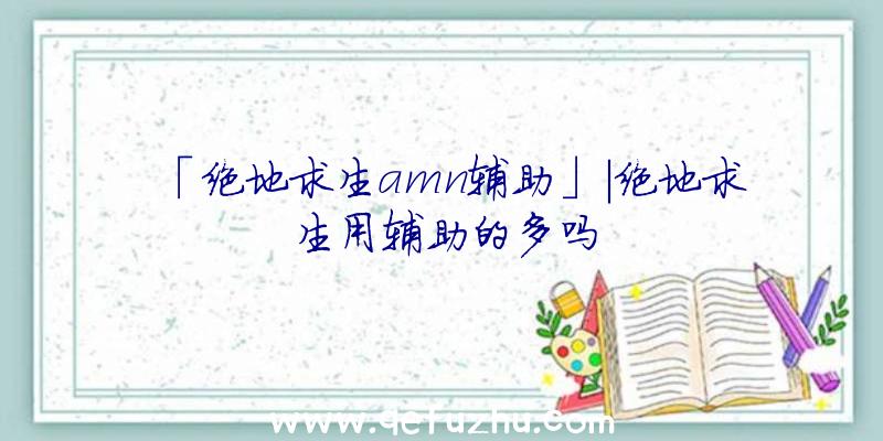 「绝地求生amn辅助」|绝地求生用辅助的多吗